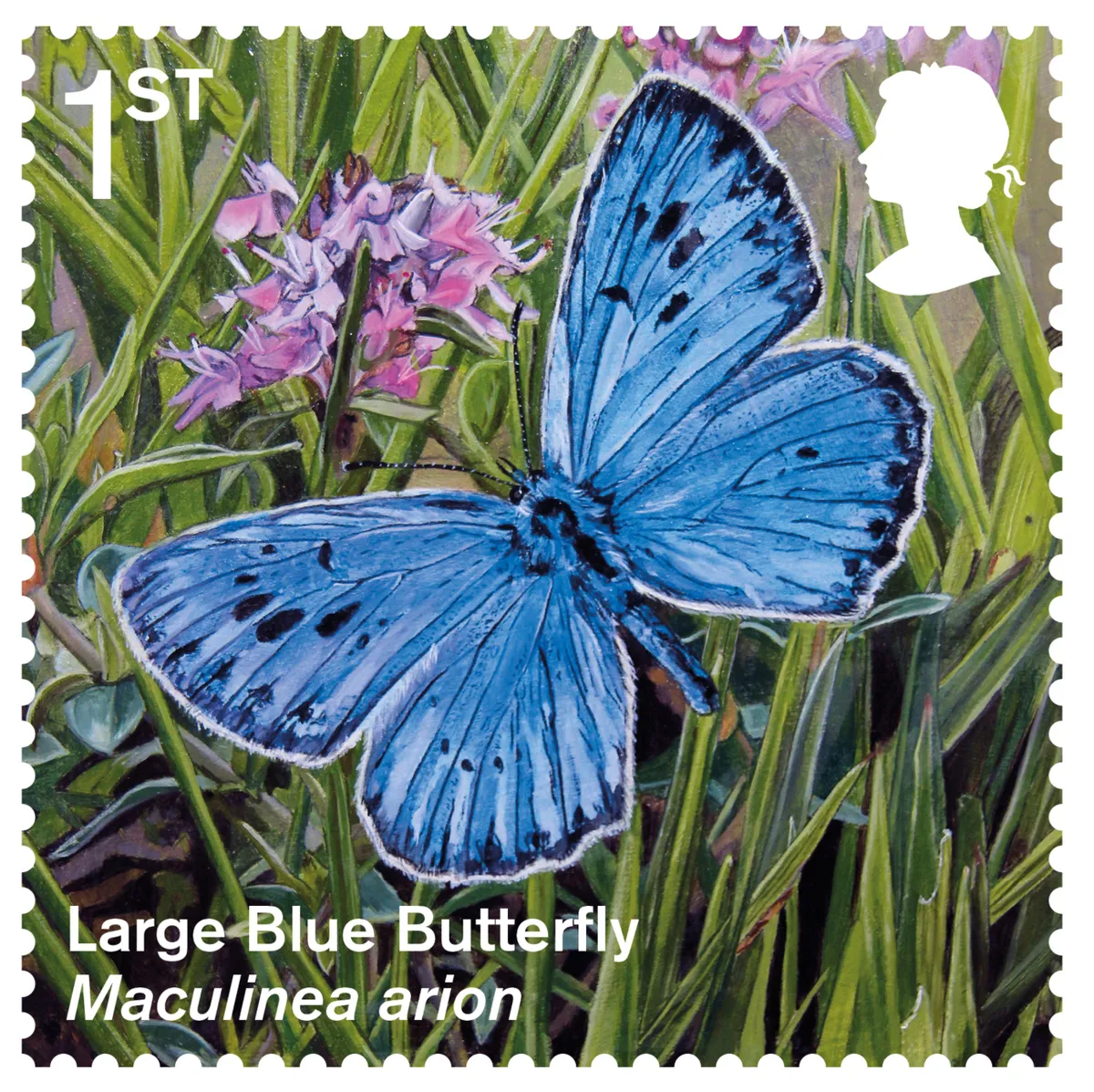 Large-Blue butterfly stamp