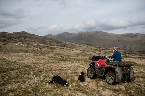 Farmer Pip Simpson chats on his mobile phone as he travels on a quad-bike to check on his flock of sheep on his farm on Wansfell hill, above Troutbeck village in the Lake District National Park, near the town of Ambleside, northern England on April 18, 2018. (Photo by OLI SCARFF / AFP) (Photo credit should read OLI SCARFF/AFP/Getty Images)
