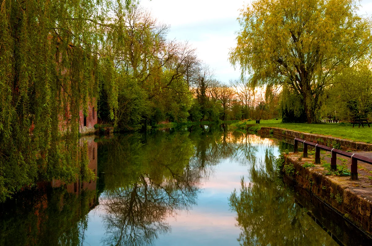 Willows dangle into a canal with leaves just beginning to change colour