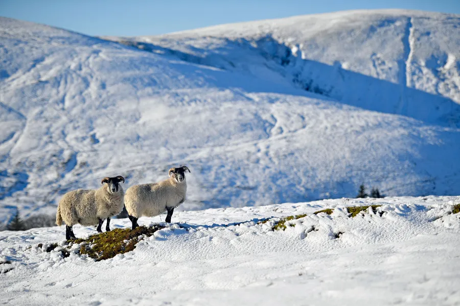 Britain’s coldest winters – from 1946 to 2024 | Countryfile.com