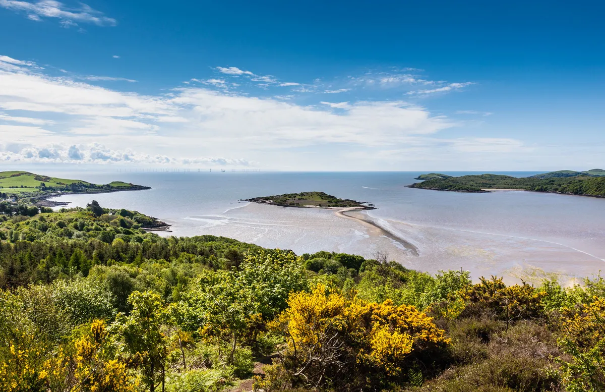 From The Muckle overlooking Rough Island and Rough Firth