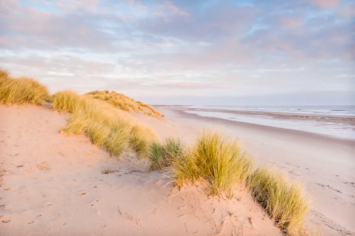 Pale pink sand dunes Druridge Bay Northumberland England