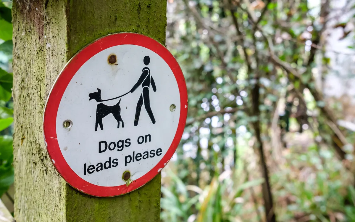 Dogs of lead sign, Getty