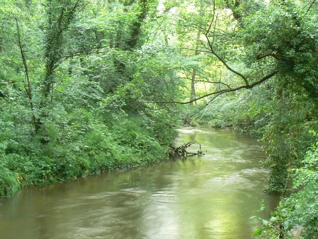 The River Derwent at the northern end of Scarwell Wood