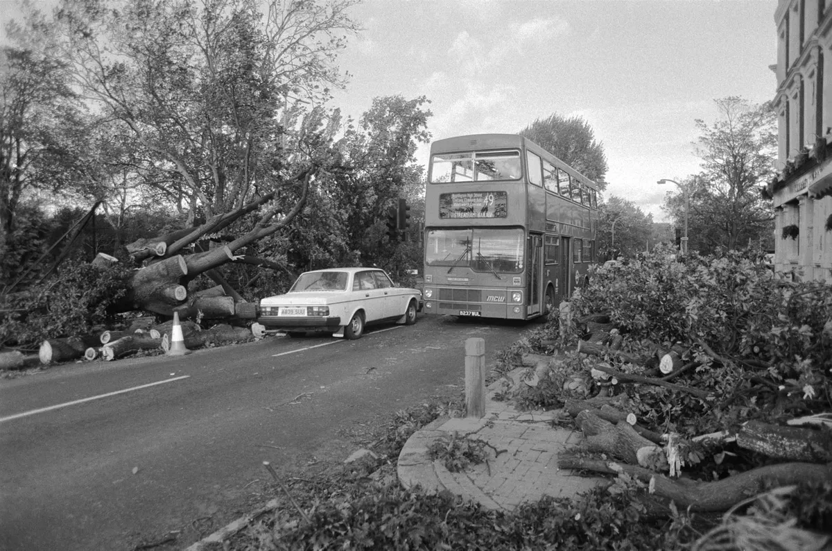 Damage caused by the Great Storm of 1987/Getty