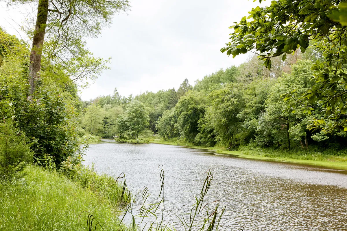 Verdant riverbanks rich with wildlife line the River Llan, home to kingfishers/Oliver Edwards