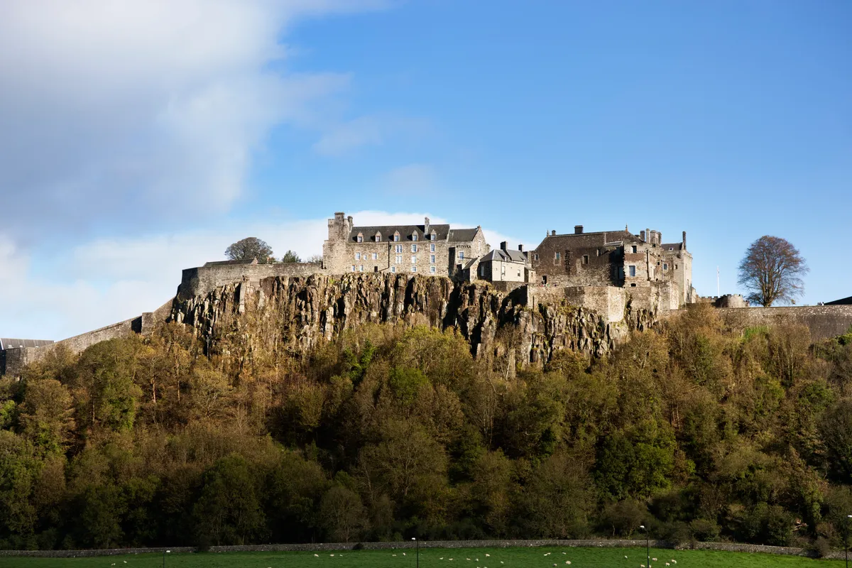 The west face of Stirling Castle surrounded by trees