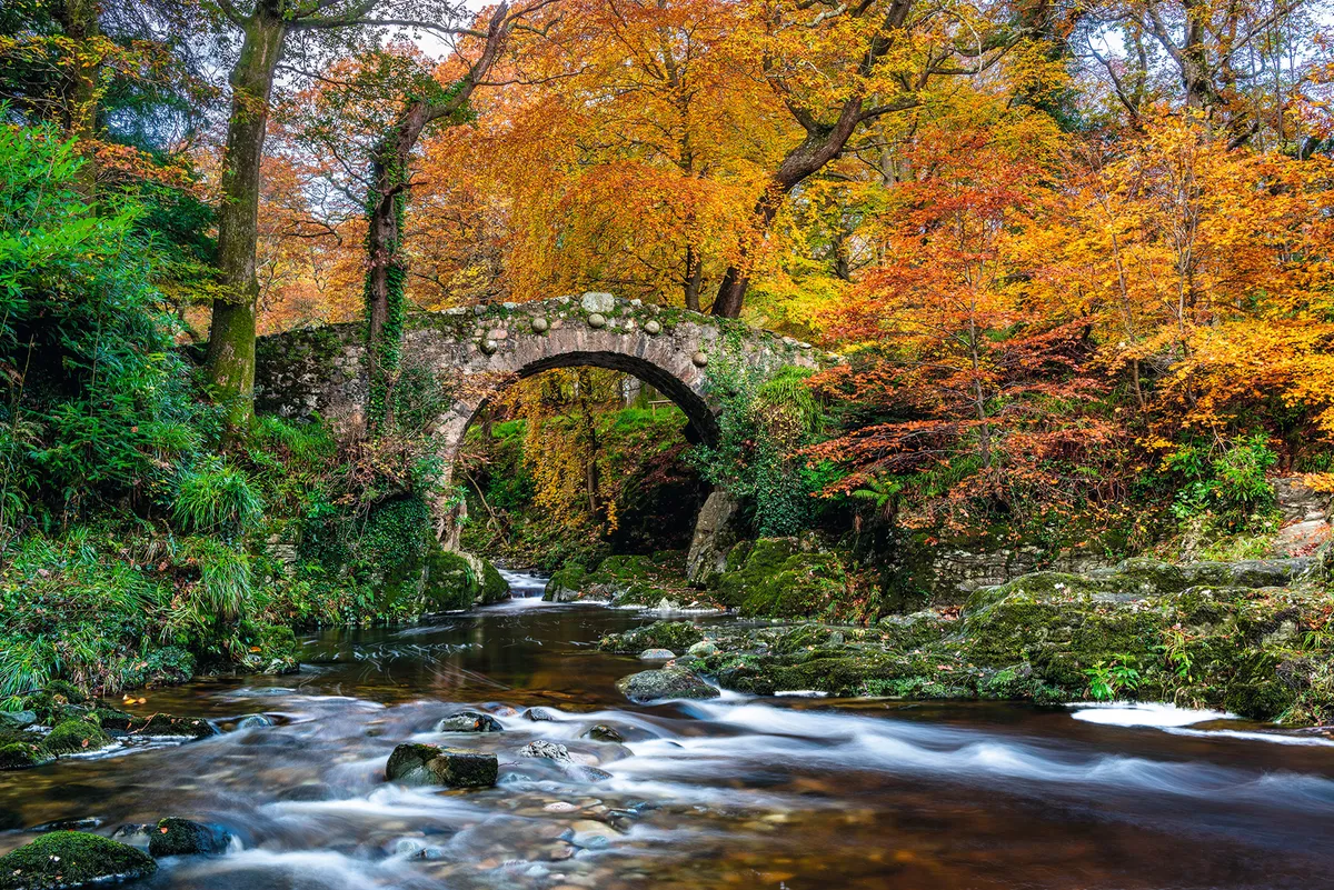 Bridge over river in autumn