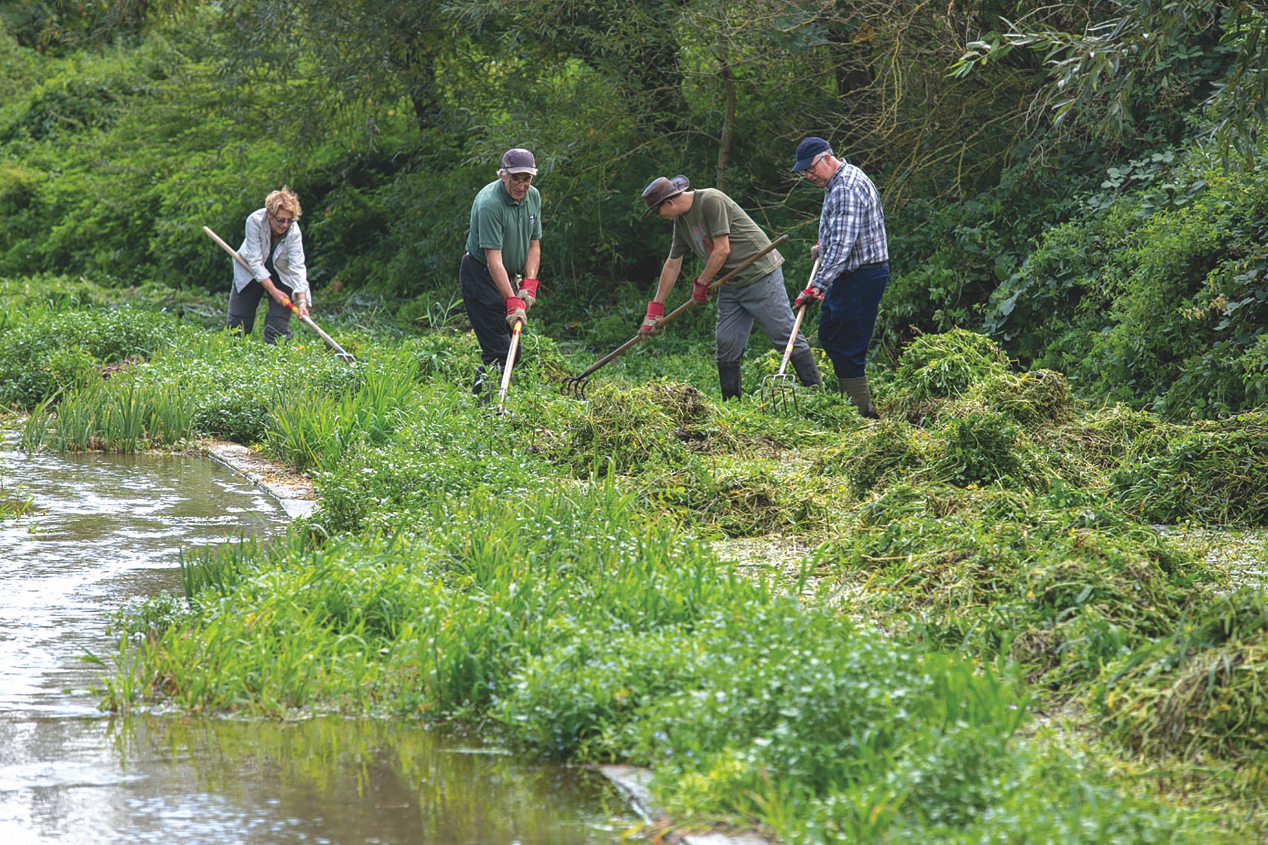 Volunteer Rspb Volunteering guide: how to get involved with wildlife, conservation and ...