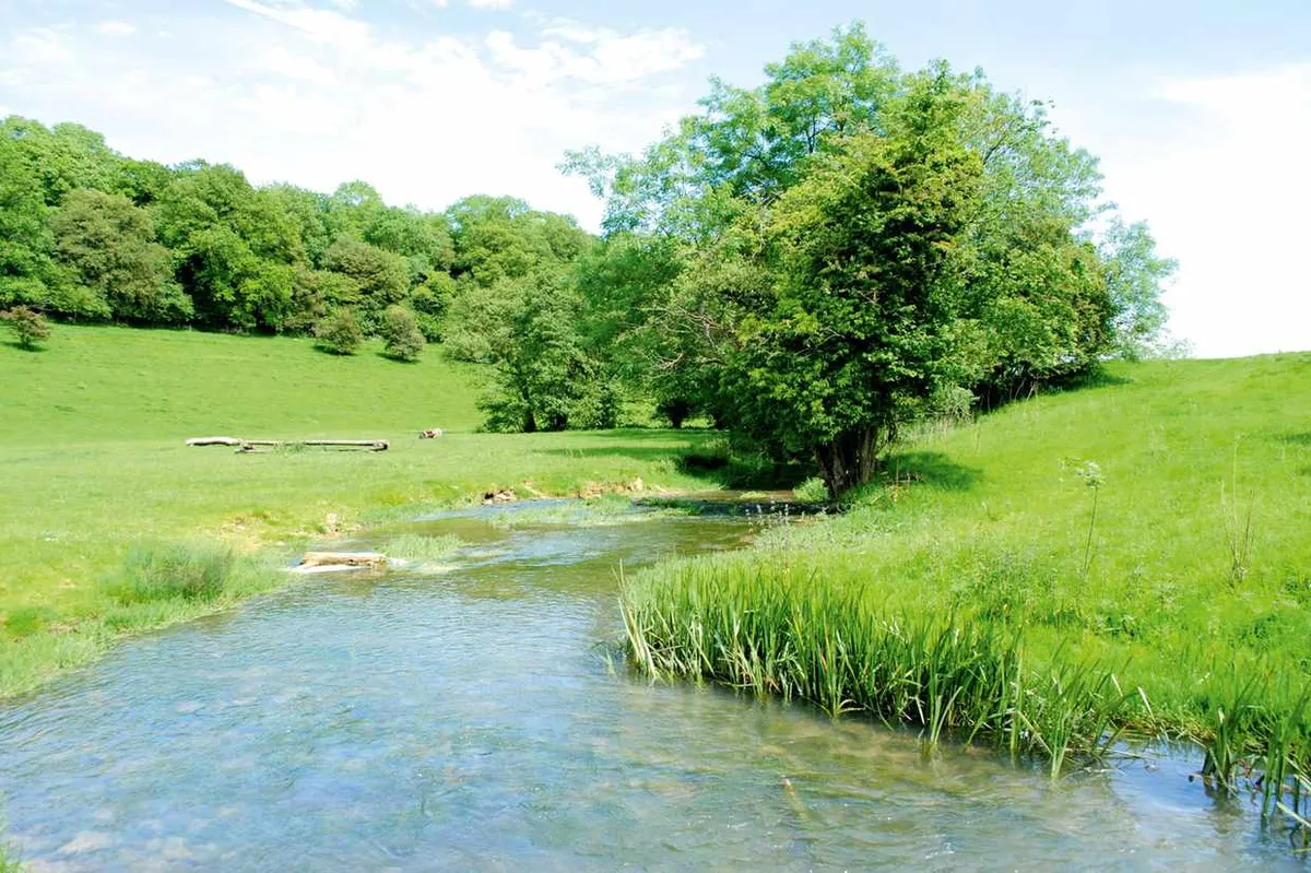 River winding through green countryside