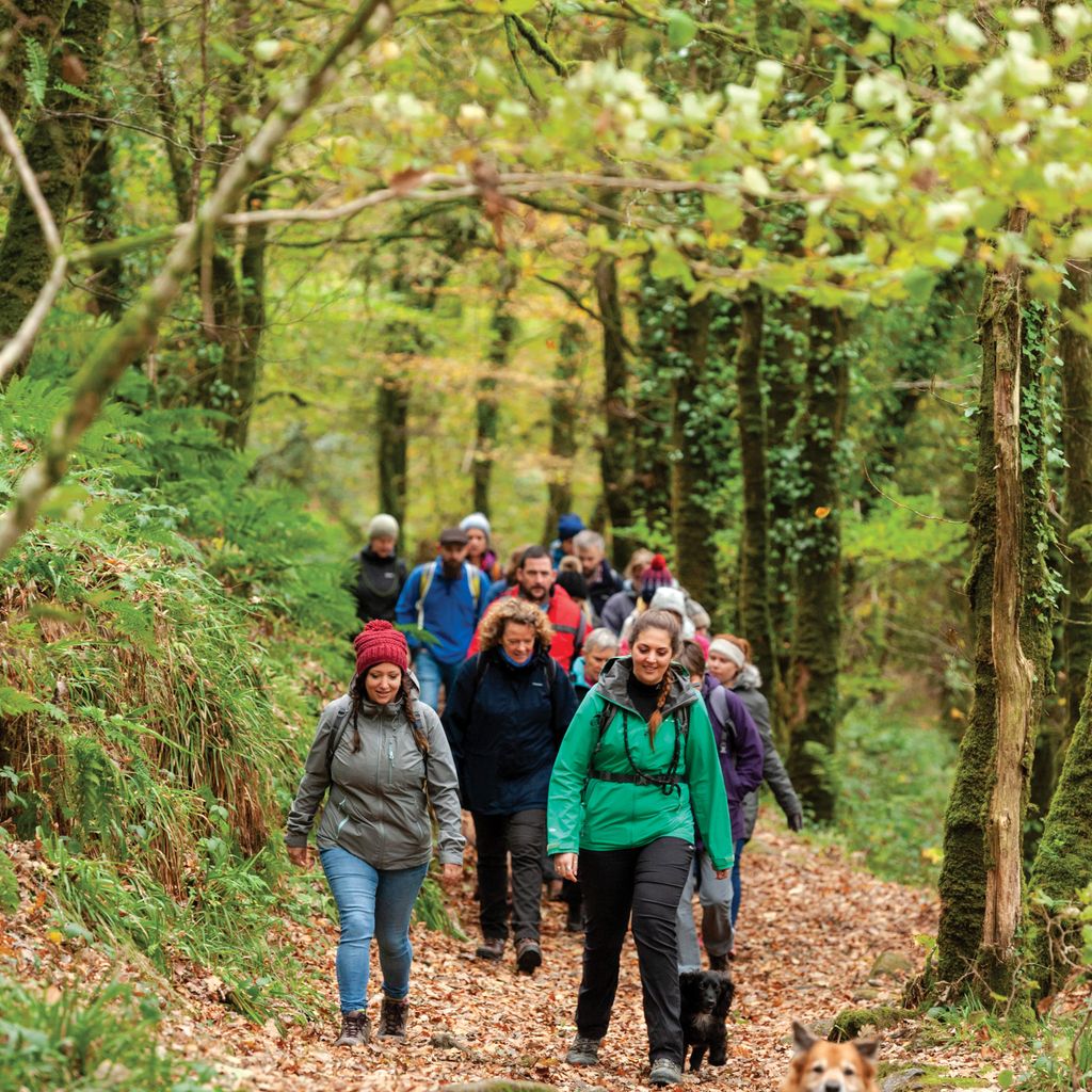 Walk In Groups Walking groups: how to find and join a walking group - Countryfile.com