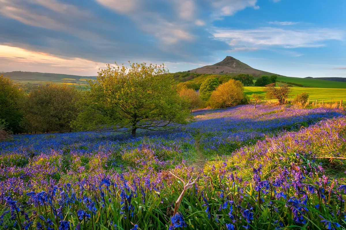 Roseberry Topping, North Yorkshire (Getty)