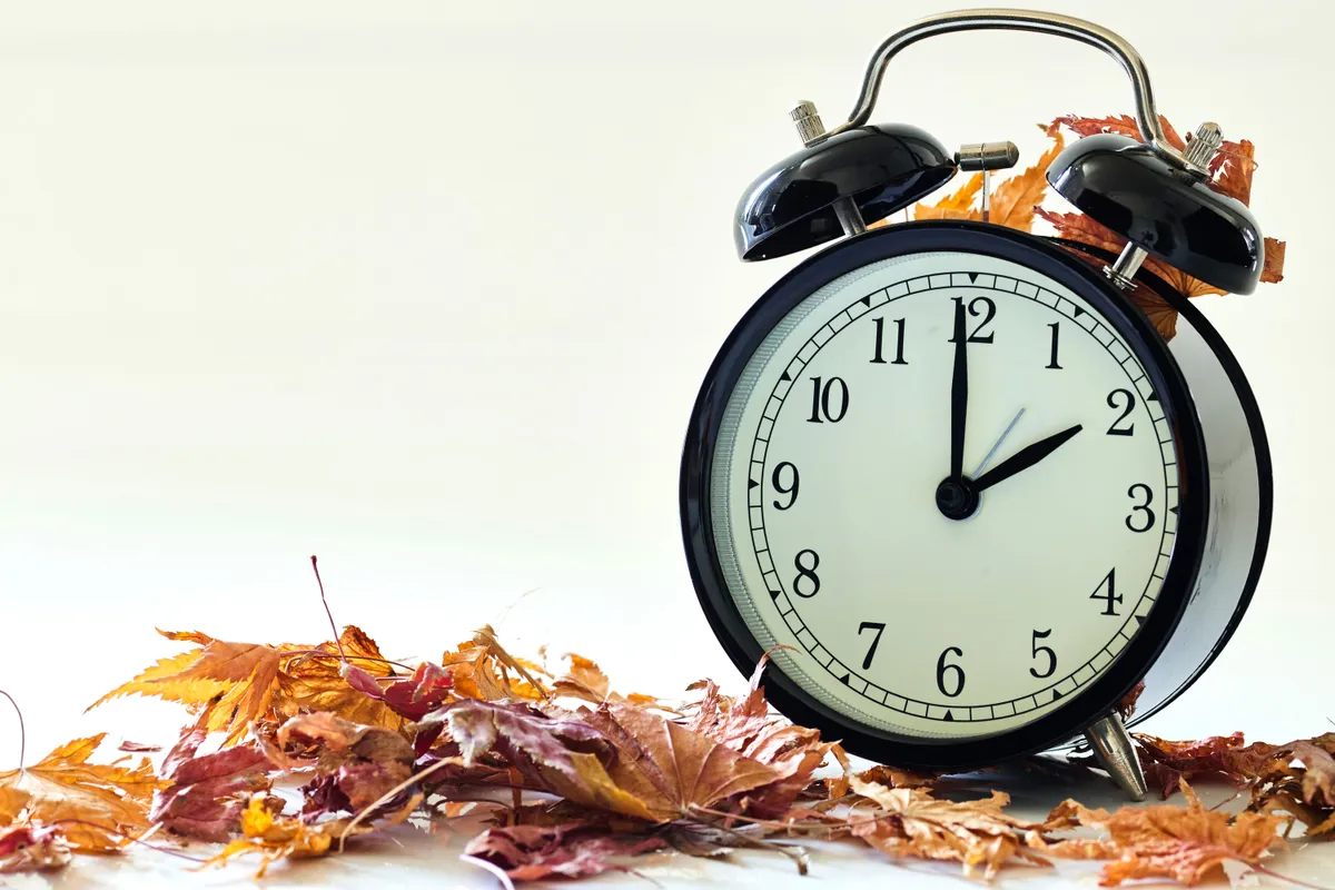 Clock with leaves