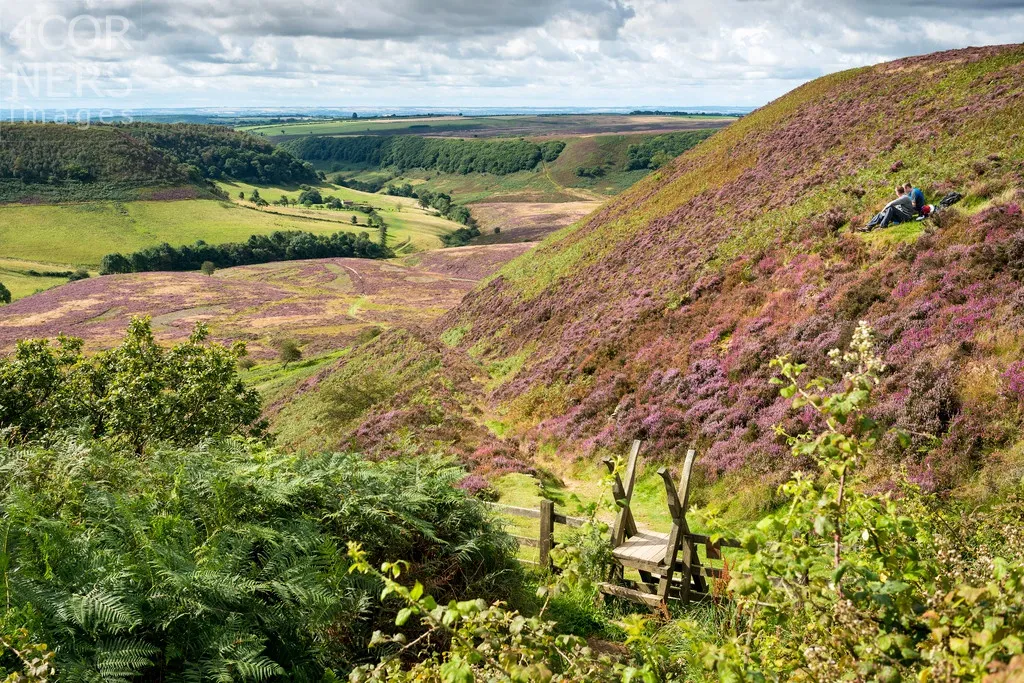 United Kingdom, England, Great Britain, North York Moors National Park, British Isles, North Yorkshire, Walkers sitting amongst the heather at The Hole of Horcum
