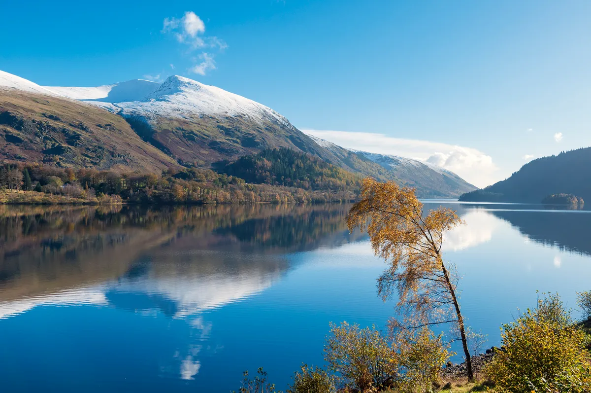 A snow topped Helvellyn mountain viewed from a clear Thirlmere water in Autumn time with a curved Autumnal tree.Taken November 2012.Lake District National park.