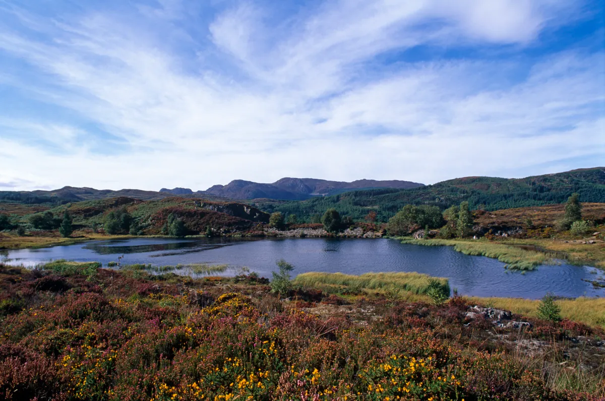Llyn Bodgynydd in autumn