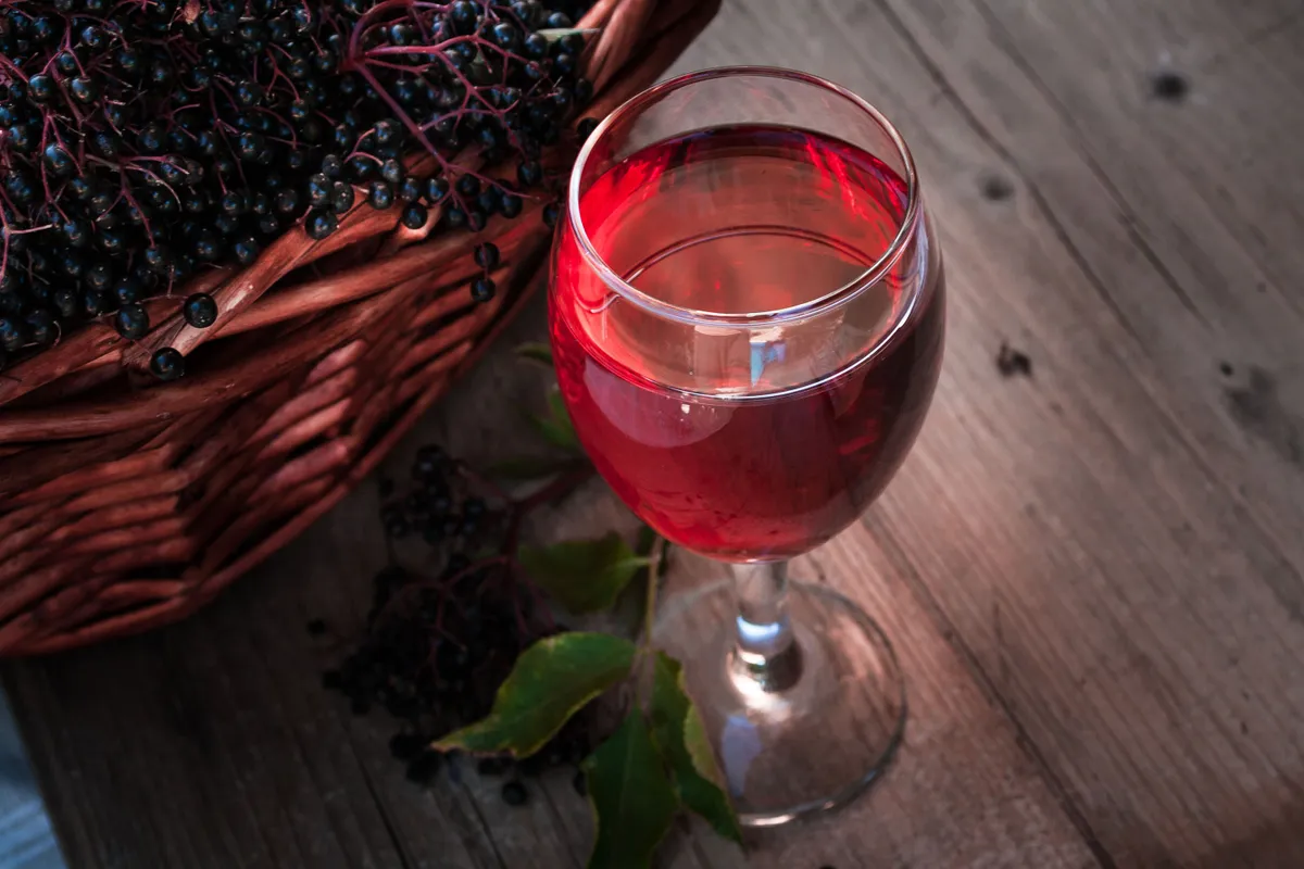 Elderberry wine recipe (Photo by: Dejan Kolar via Getty Images)