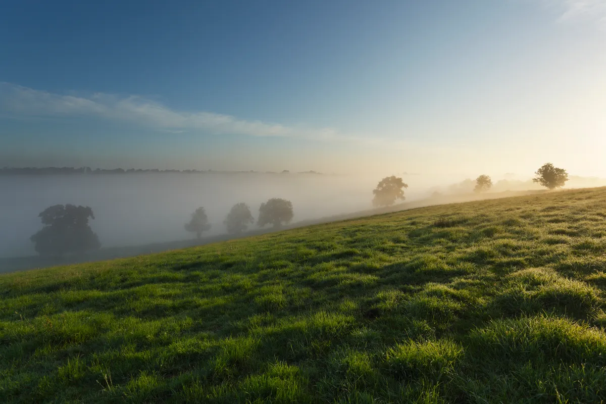 Mist on the Polden Hills, Somerset