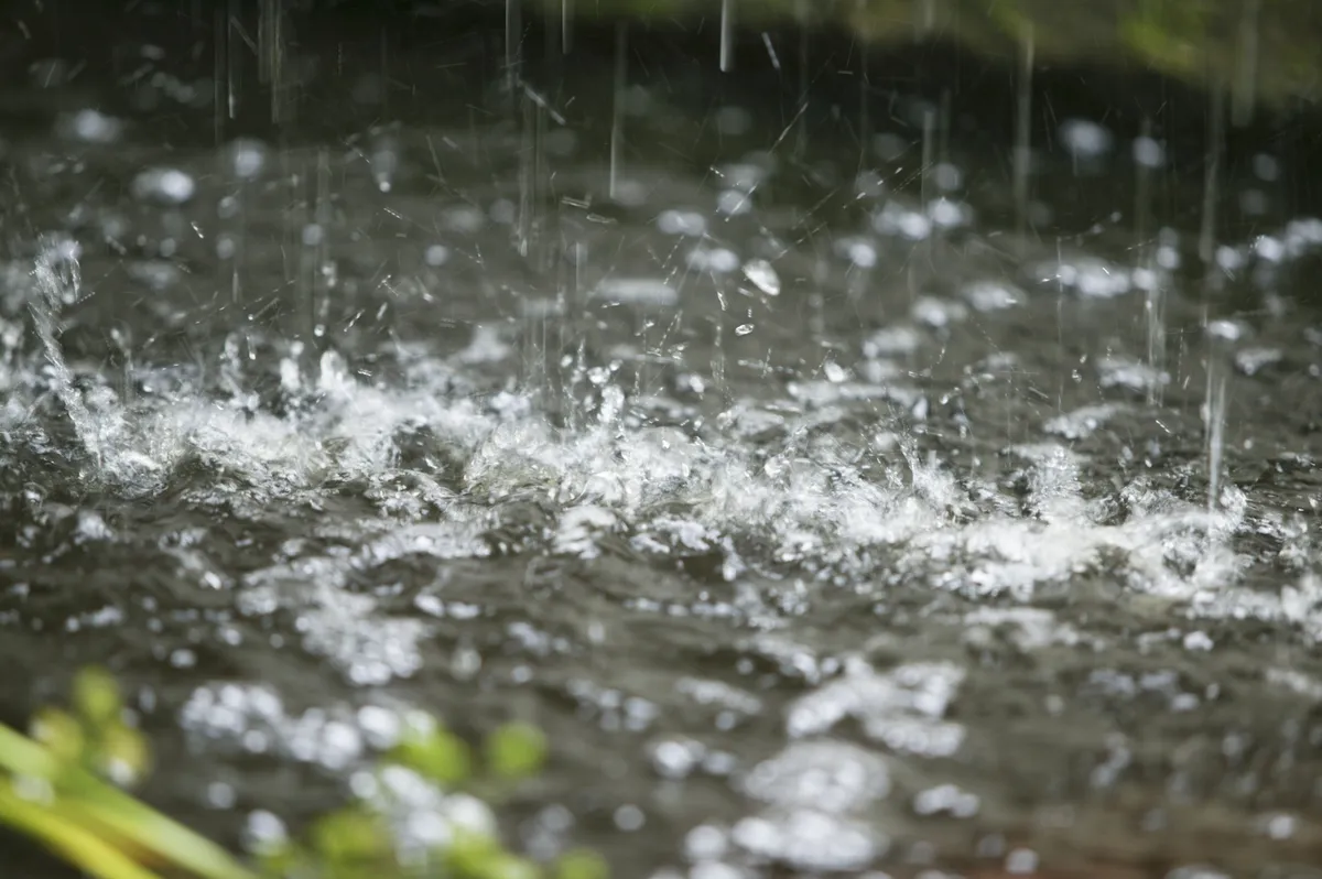 Raindrops splashing into pond