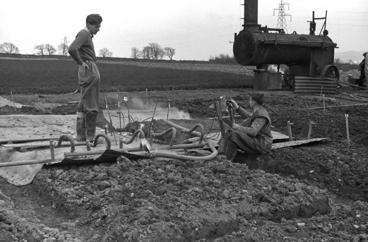Sterilising the ground using steam Tulliallan Nursery, Kincardine, Fife, 1952