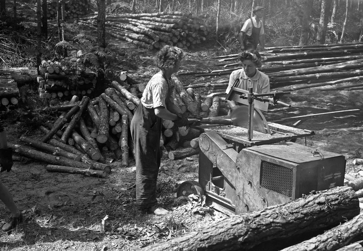 Women's Timber Corps, or Lumber Jills, working at Rendlesham Forest, Suffolk, 1945 (Photo by: Forestry Commission)
