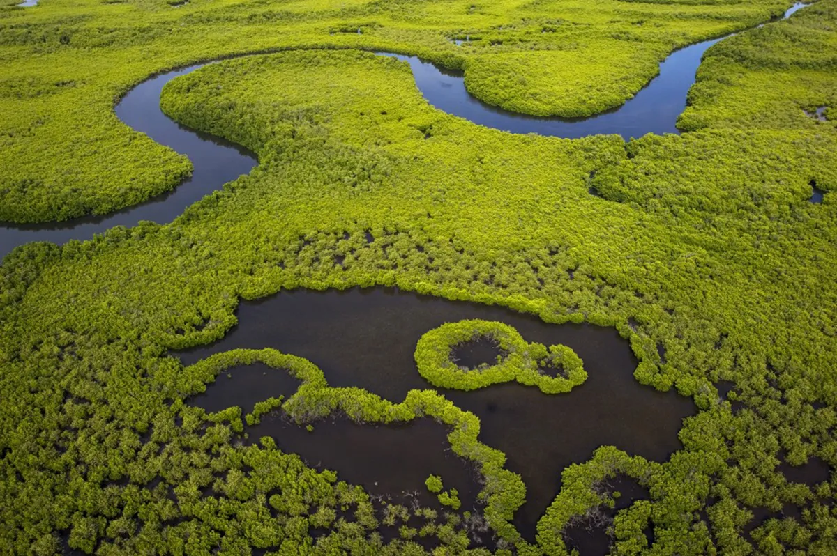 Birds' eye view of Casamance, Senegal, where Sacha will be flying over (Photo by: Conservation without Boundaries)