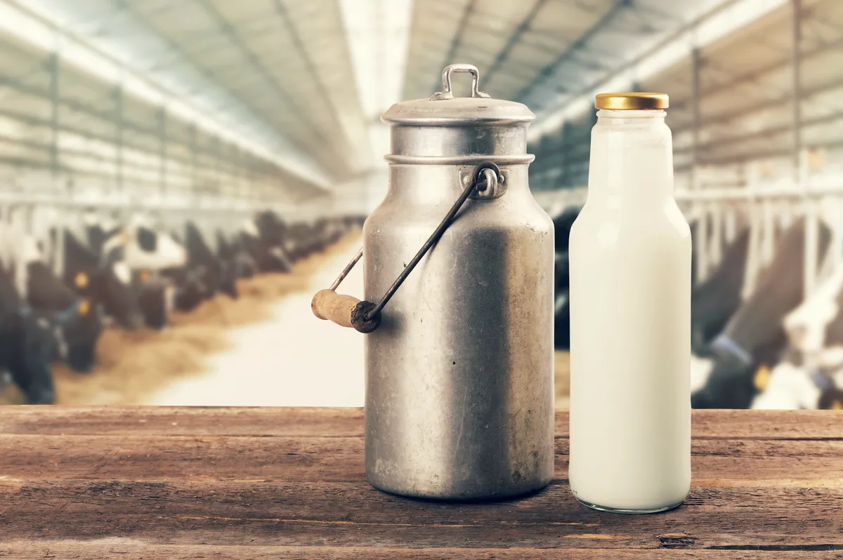 Milk bottle and canister in front of dairy farm background