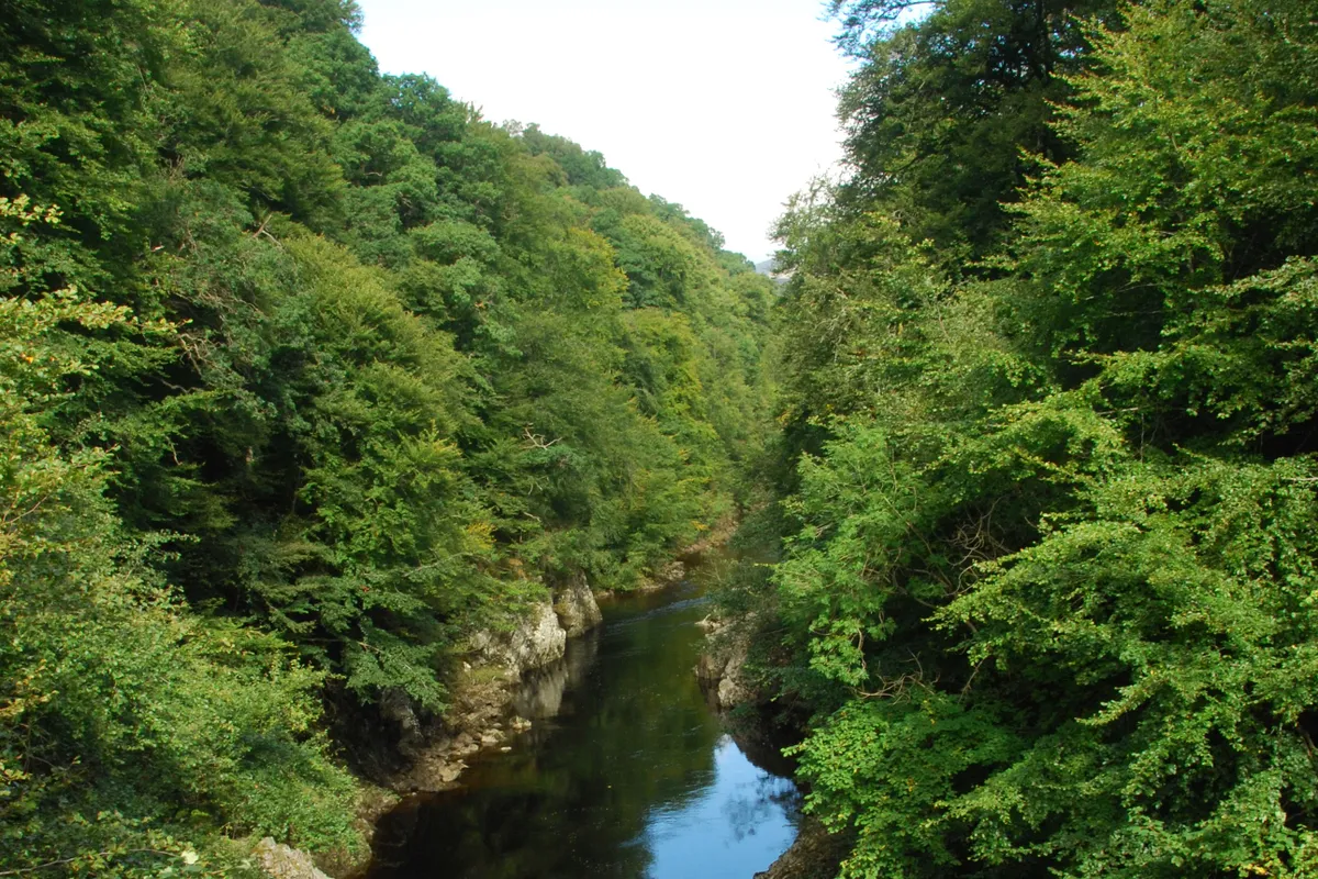 Pass of Killiecrankie in the middle of summer
