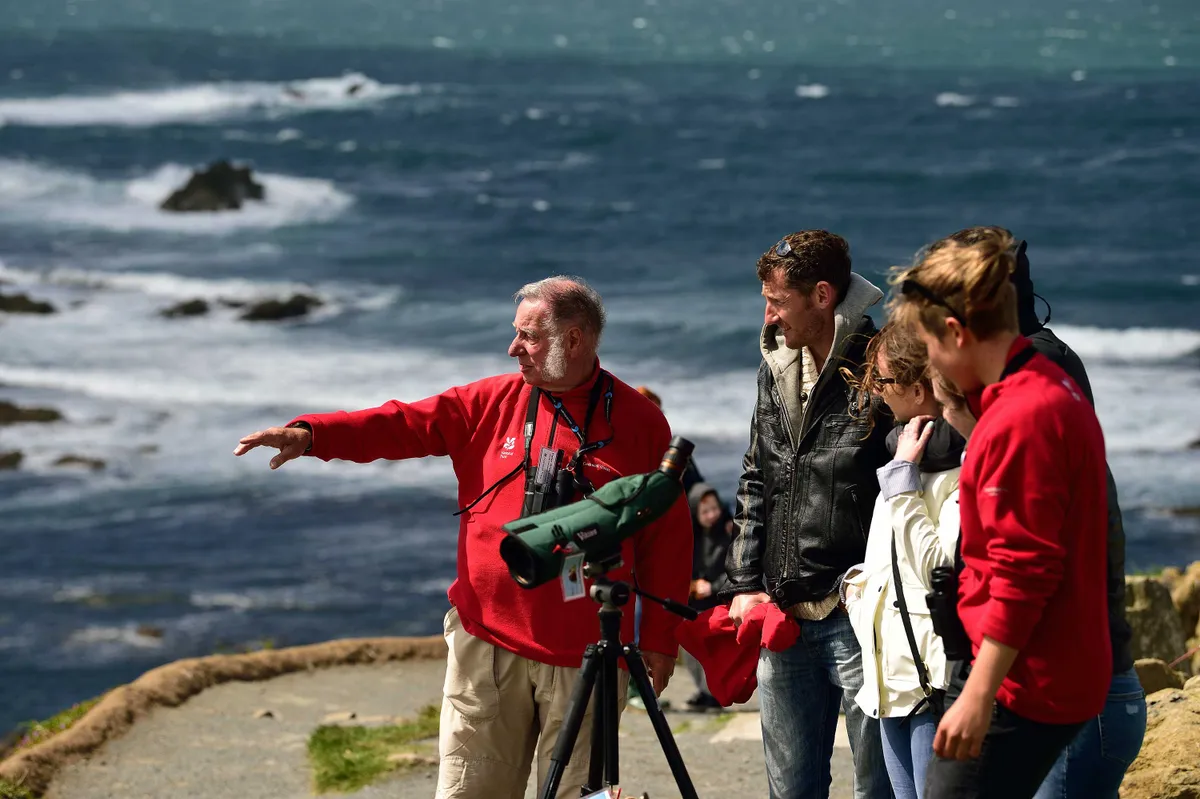 Volunteer rangers show visitors local wildlife from the watchpoint in the Lizard Peninsula (Photo by: John Millar for The National Trust)