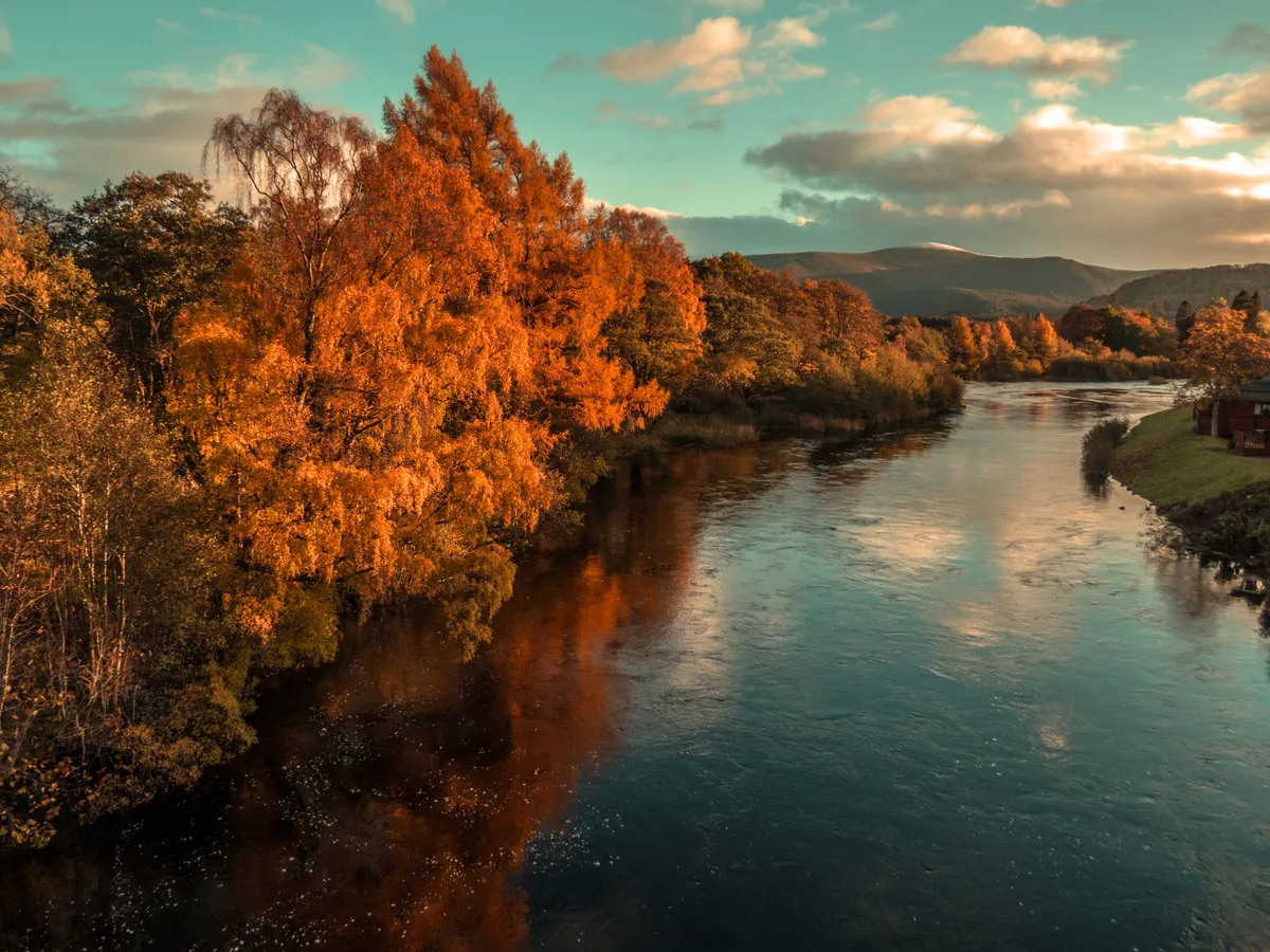 Autumn colours on The River Spey, Aviemore, Cairngorms National Park
