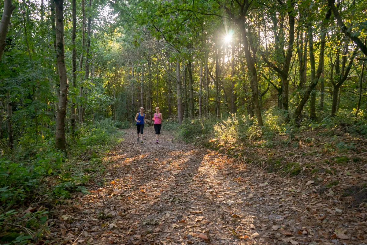 Women running in forest