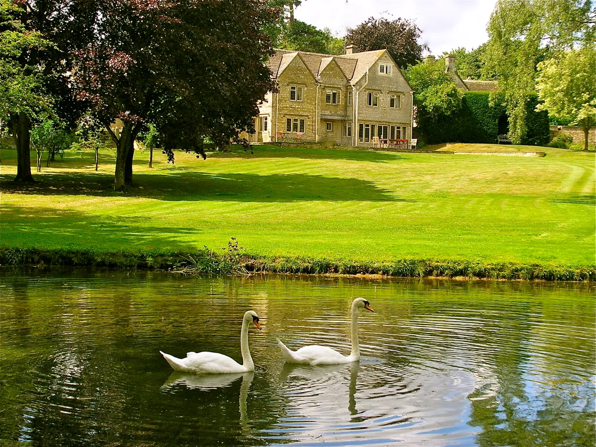 Country house with pond and swans