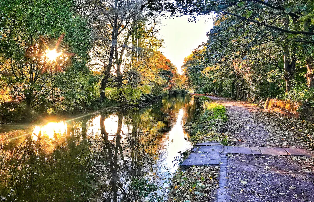 Sunlight streams through trees beside a canal