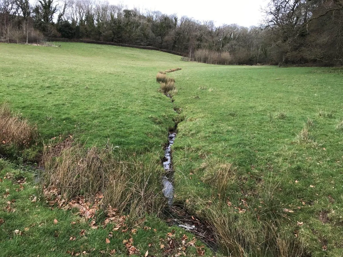 One of the tributaries to the River Aller on the Holnicote Estate in Somerset. Credit National Trust