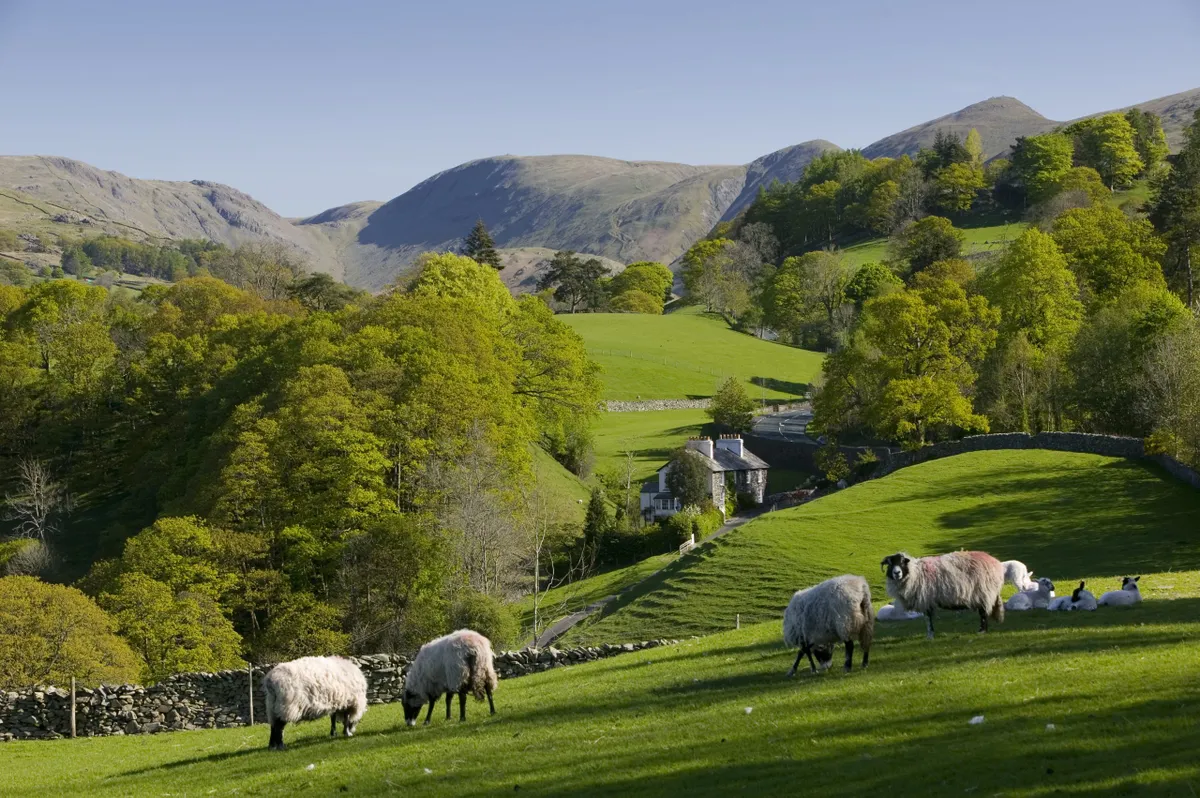 Spring in Troutbeck Valley with the Kentmere Fells beyond, in the scenic Lake District National Park
