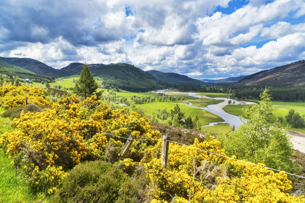 River Dee at Braemar, Aberdeenshire, Cairngorms National Park, Scotland.