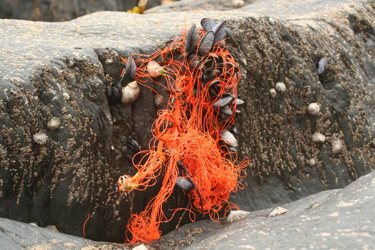 Plastic fishing net on rock