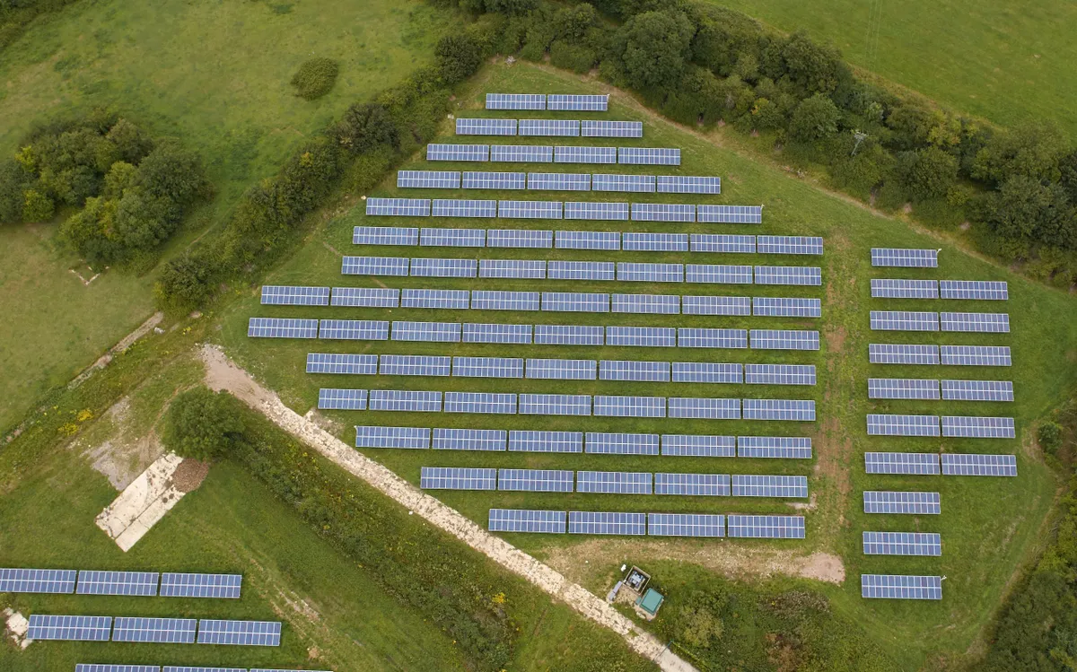 Solar panels in farm