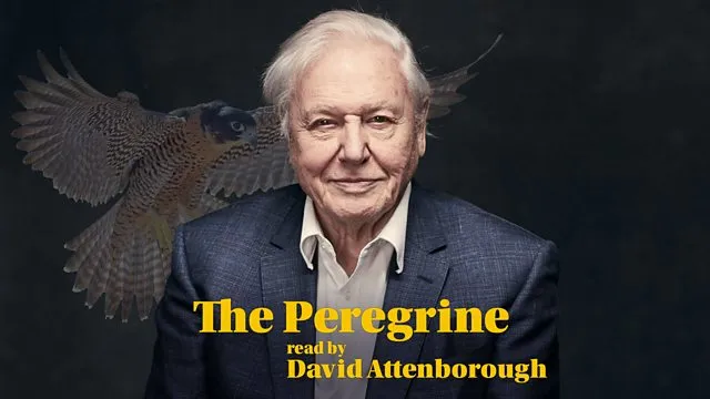 david Attenborough looks at camera
