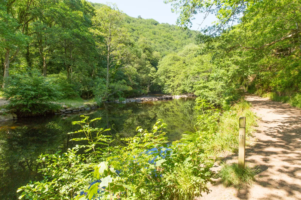 River Teign and Fingle Woods in Dartmoor National Park, Devon