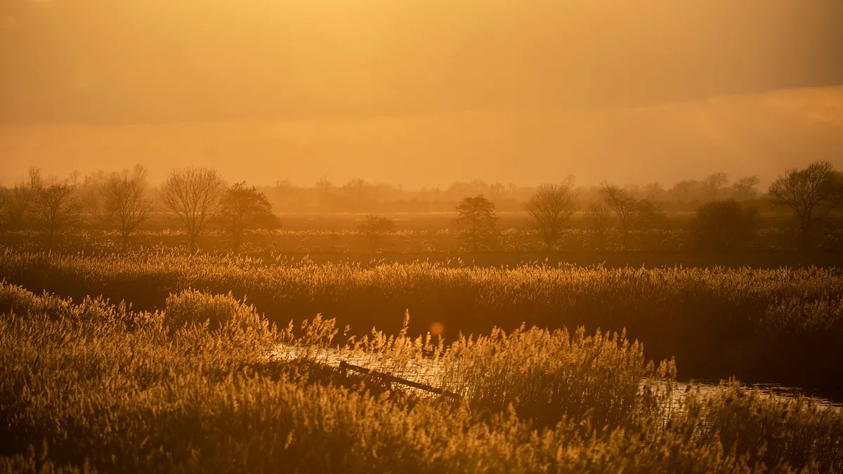 Sunset at RSPB Ouse Washes Nature Reserve, Cambridgeshire, February 2019 ©RSPB Images