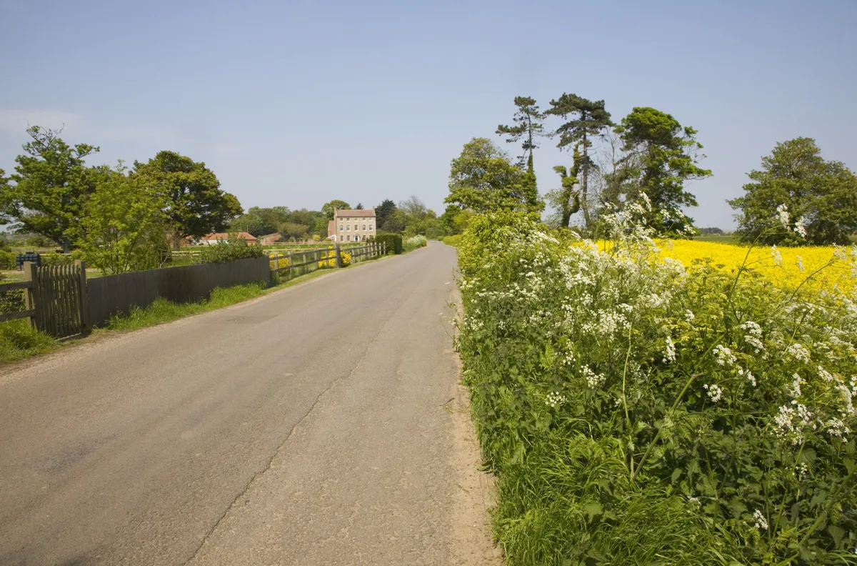 Road verges at Bawdsey in Suffolk