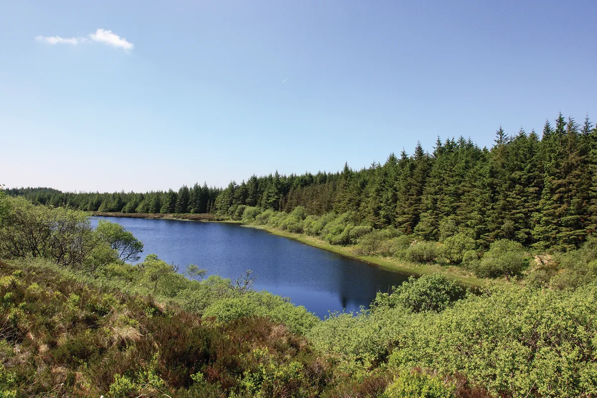 Lough Achork in Lough Navar Forest, County Fermanagh, Northern Ireland