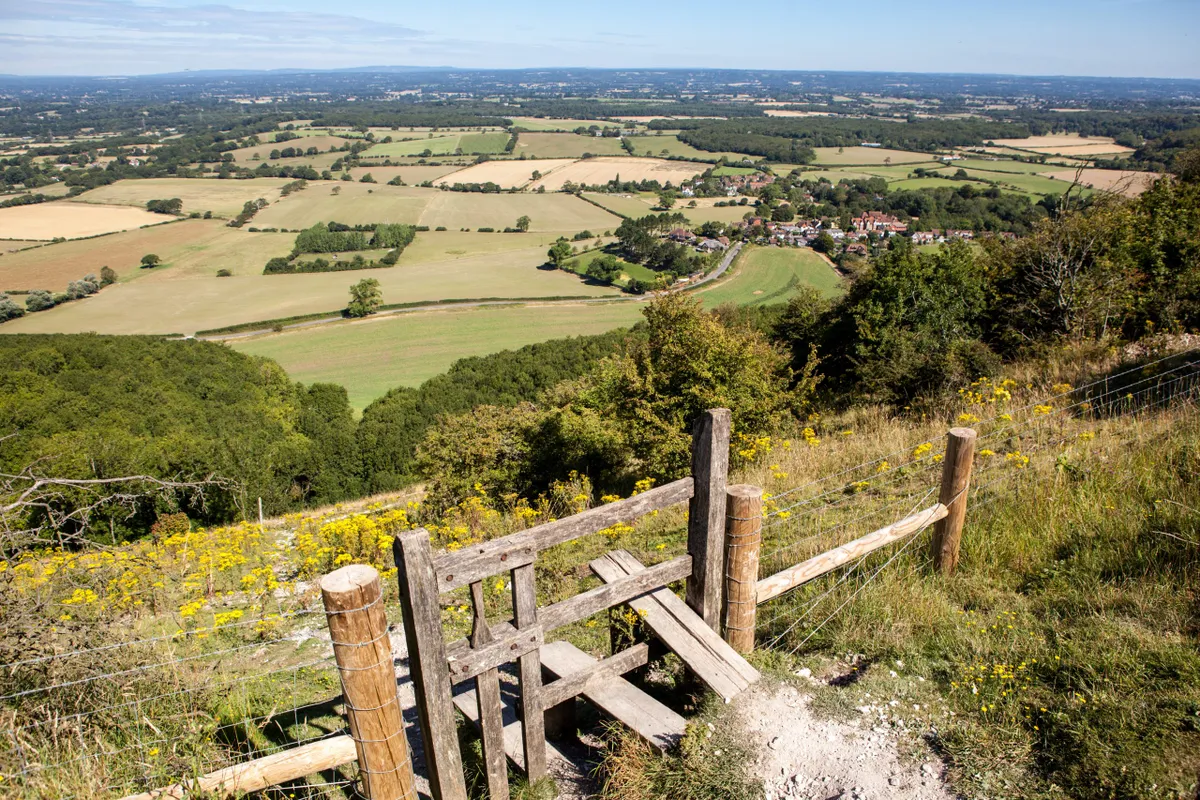 View of the South Downs way, East Sussex, England