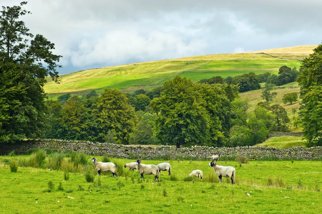 Alston Moor hills near Garrigill, Cumbria