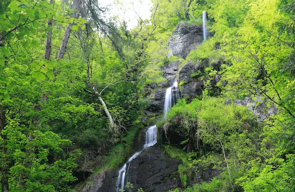 Canonteign Falls in summer