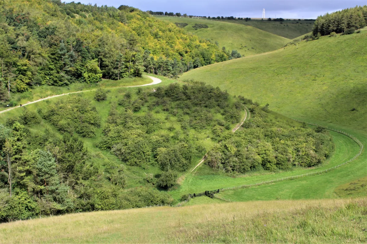 Deep Dale, Yorkshire Wolds