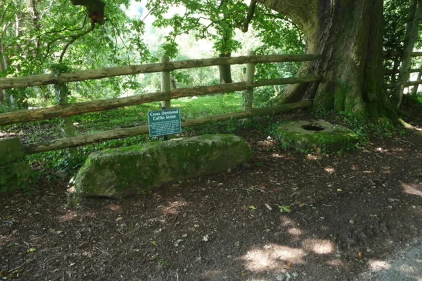 The Cross Dermond Coffin Stone near Penallt