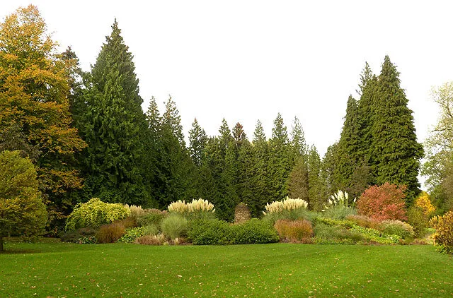 Thorp Perrow Arboretum in autumn