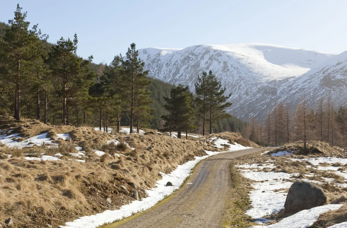 A track winds in the south Cairngorms